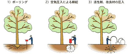 空気圧入工法による土壌改良、樹勢回復